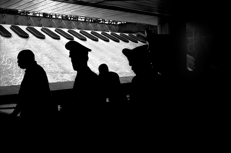 Firenze 81, 2009