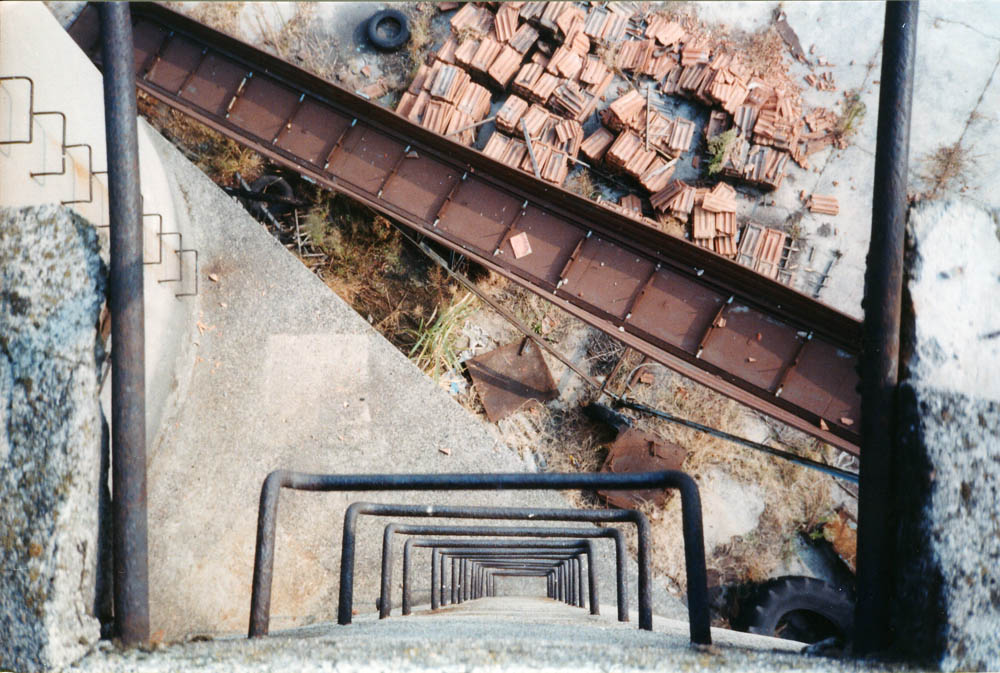 Dal Silos