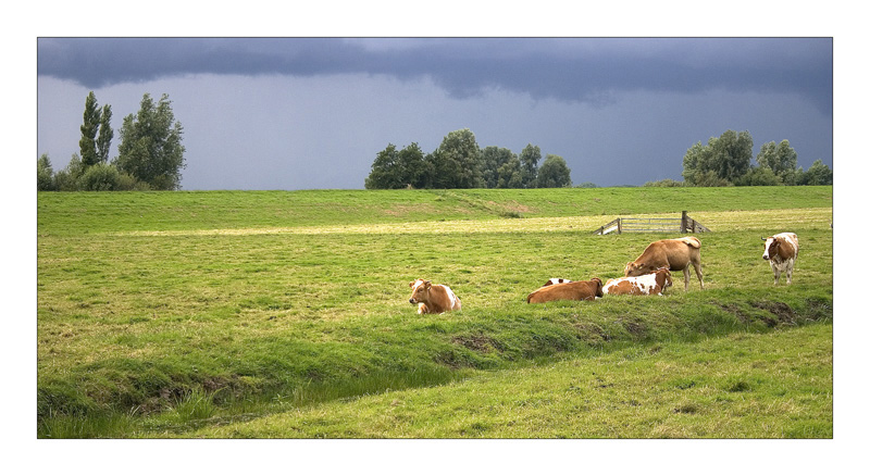 Rural Landscape