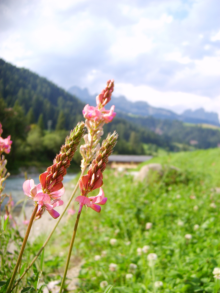 Trentino