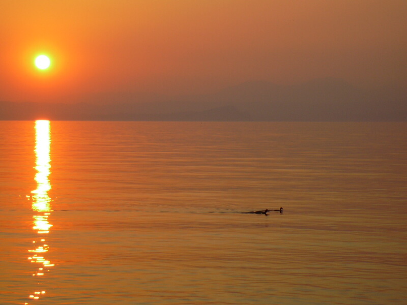 lago2