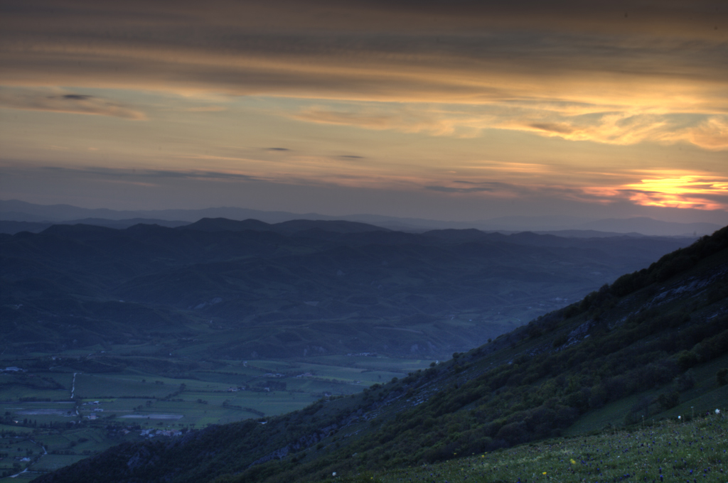 Landscape