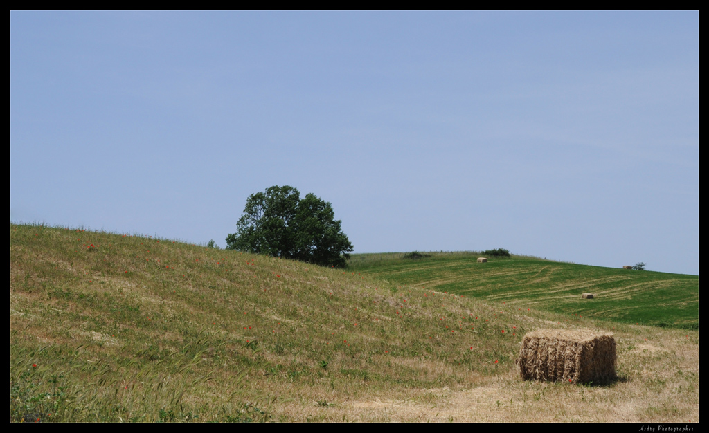 Valle di Vulci