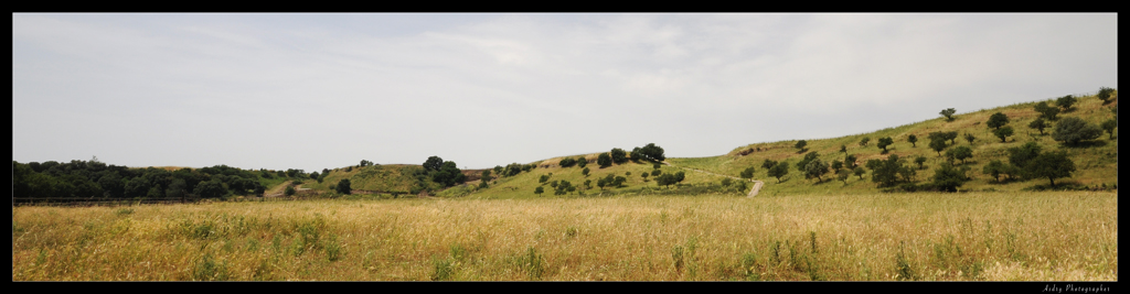 Valle di Vulci3
