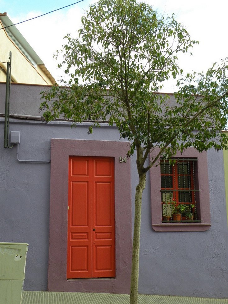 Colorata