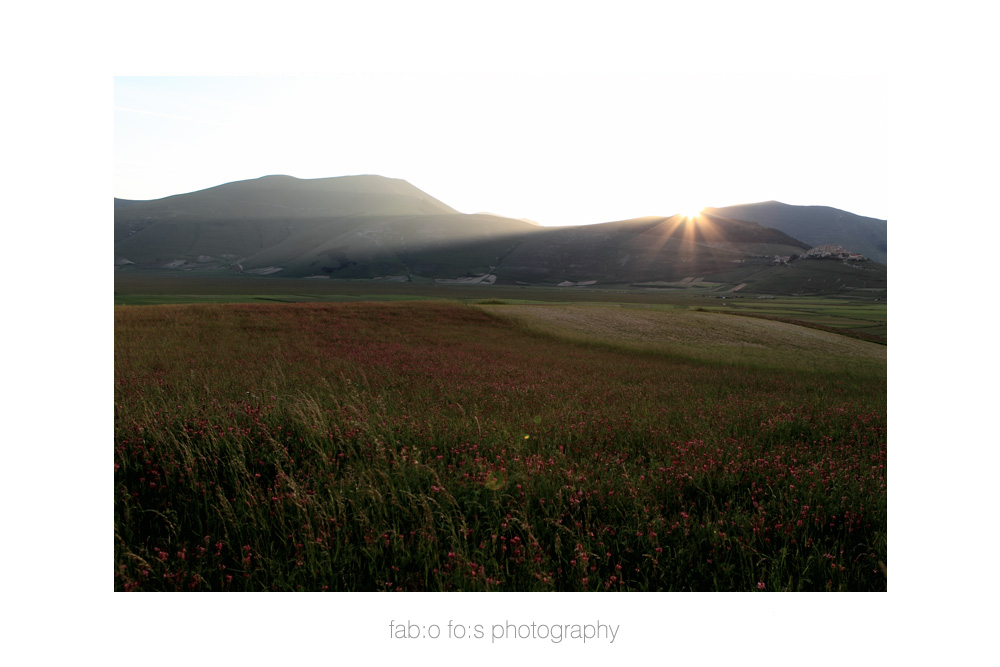 Raggi di Sole