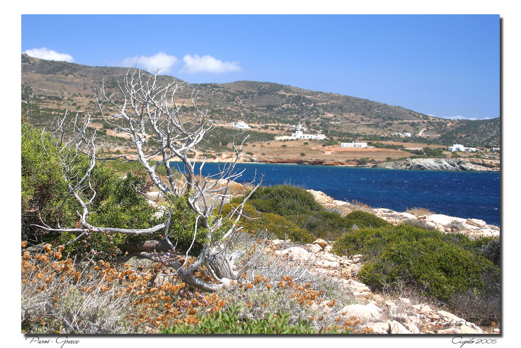 Natura arida