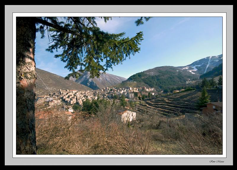Perle montane