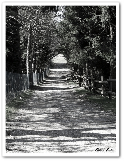 Old style street
