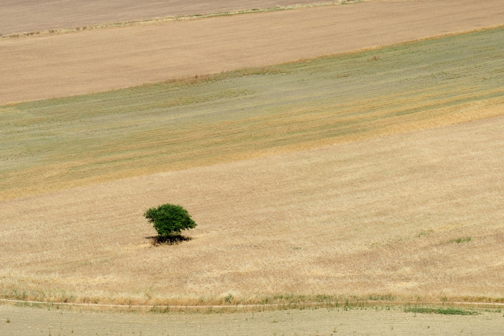 Veduta da Castel Fiorentino