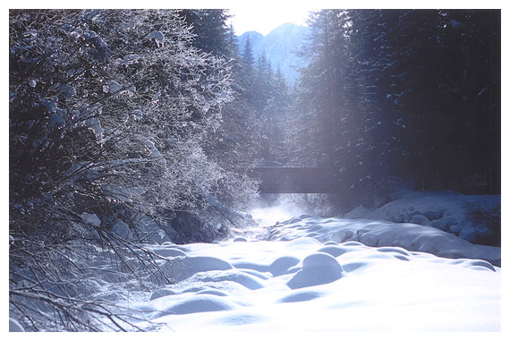 snow