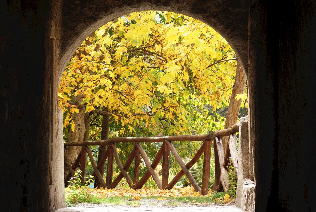 Autumn Door