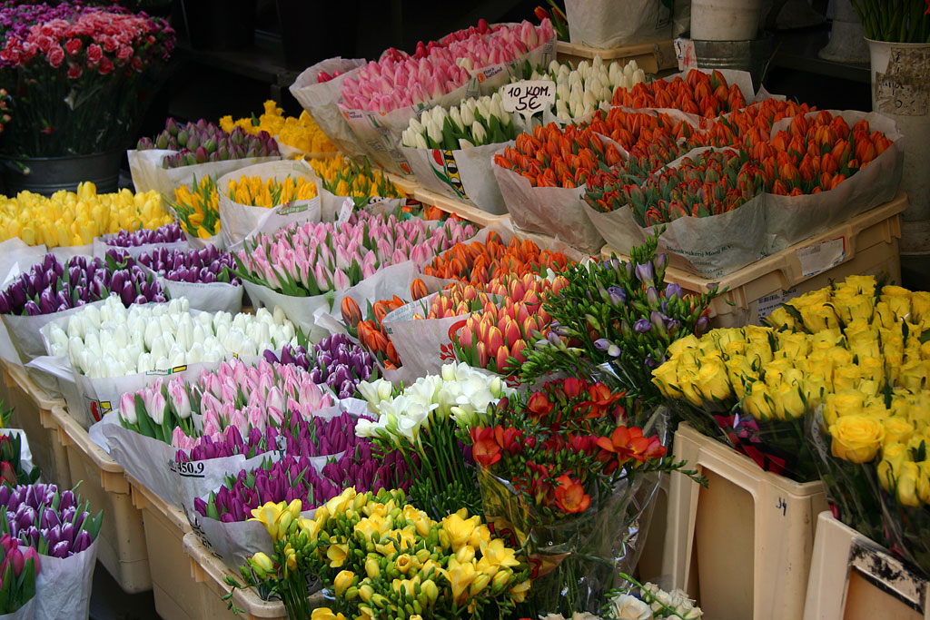 Tulipani al mercato (Ljubljana, 2008)