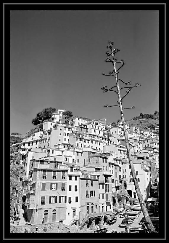La Marina