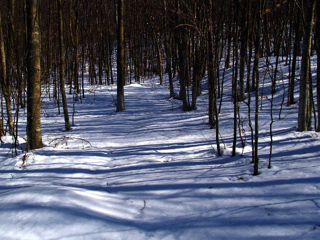 Val di Nure