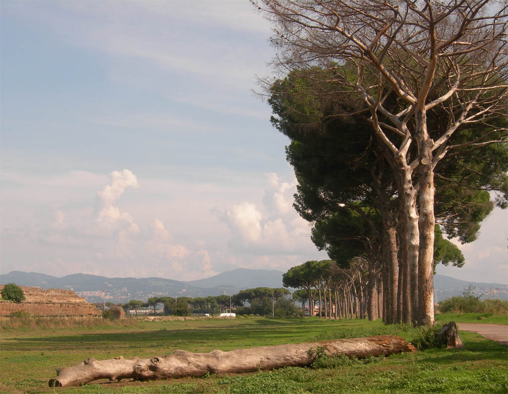 Da Roma ai Castelli