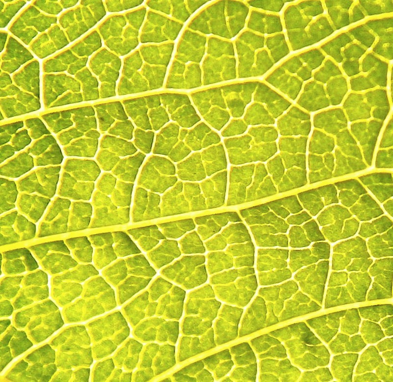Texture