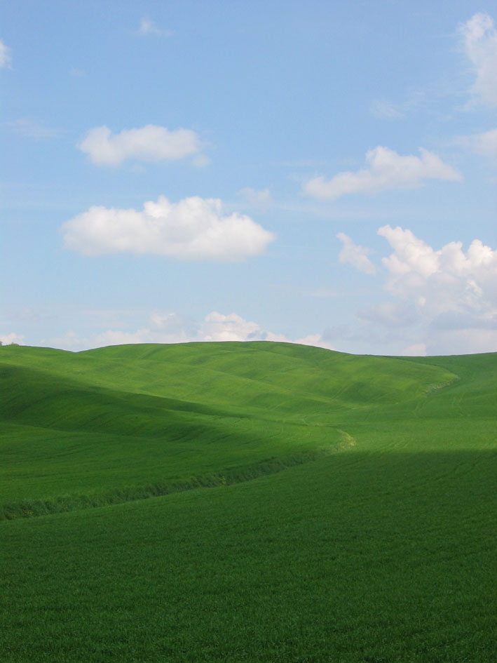 toscana