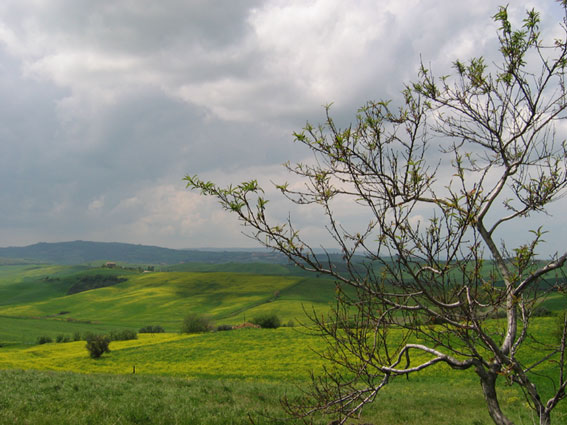 toscana