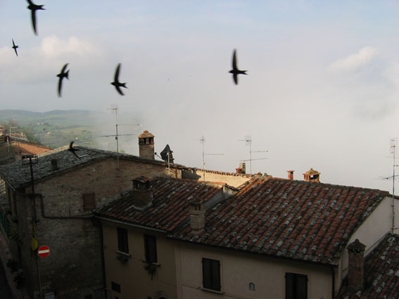 toscana