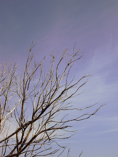 Presagi d'inverno