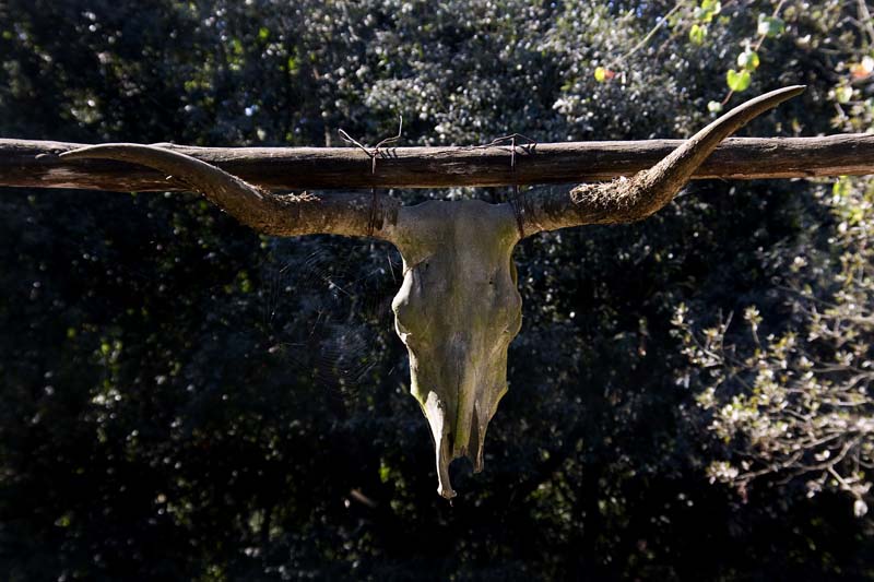 non c' speranza per voi che....entrate!!