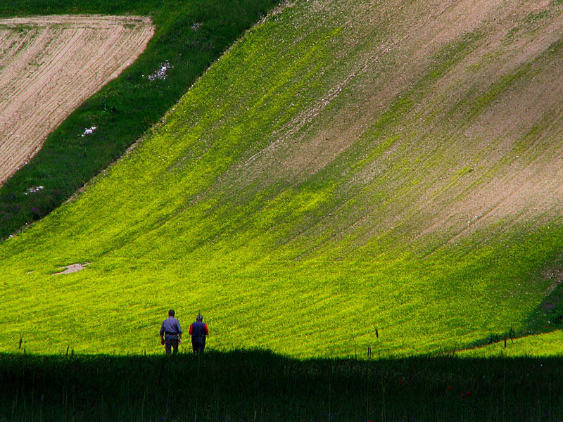 ammirazione