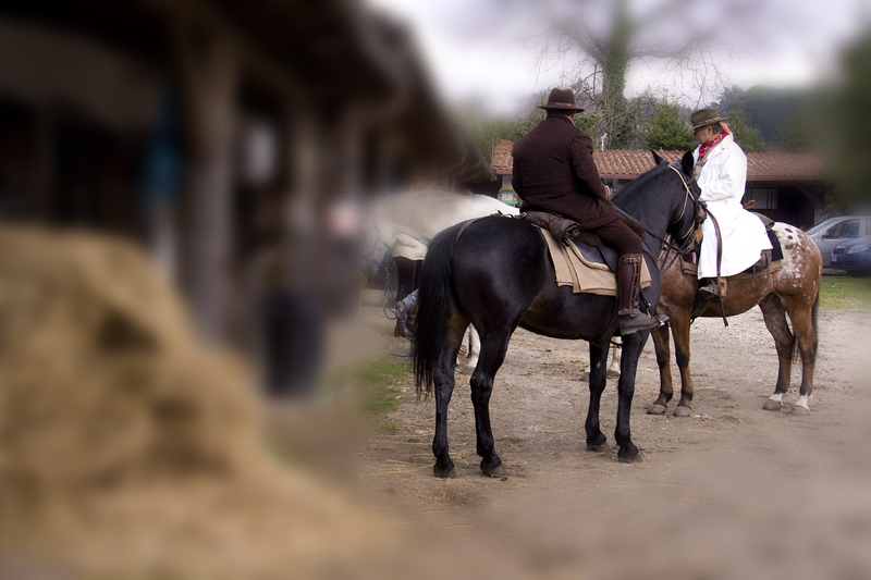 prima del rodeo