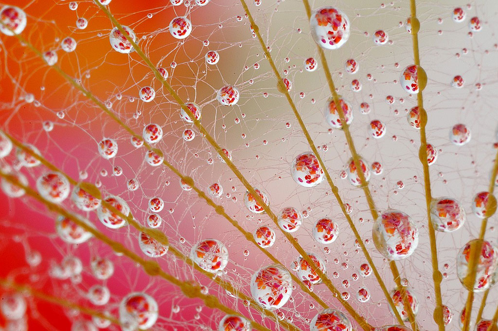 Micrometeore (di rubacolor)