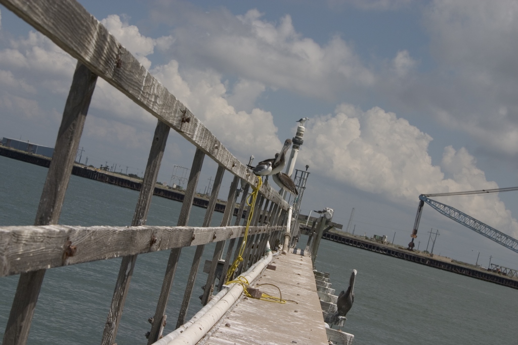 Il pontile dell' universit, TX