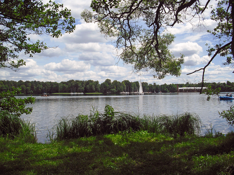 lago