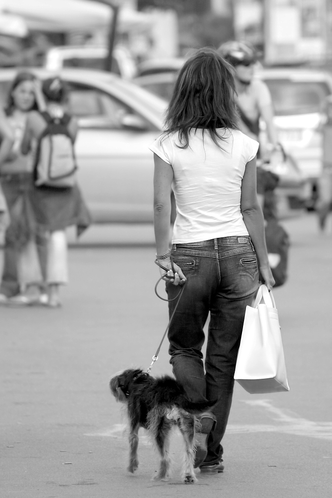 A spasso col cane