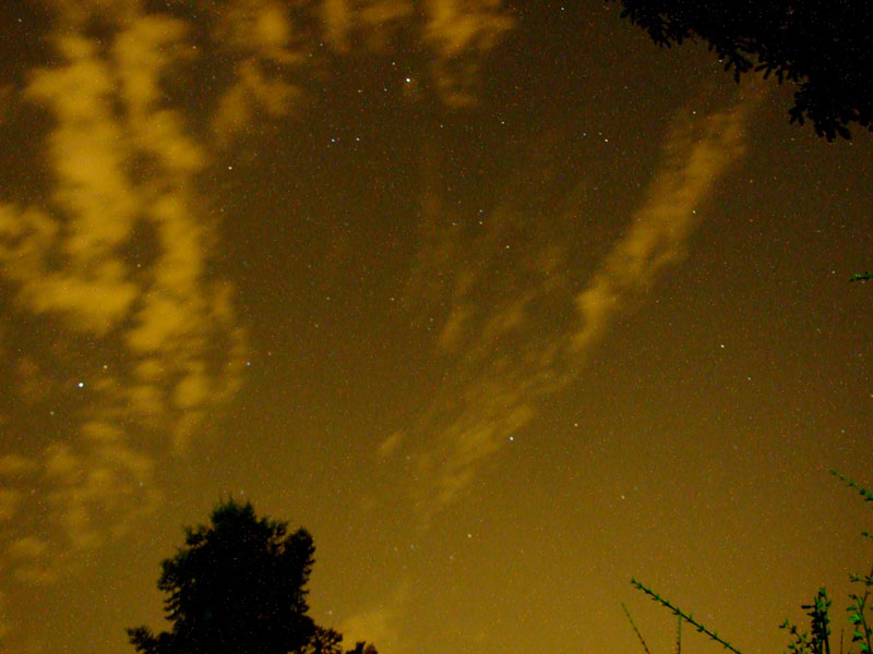 Stelle non cadenti
