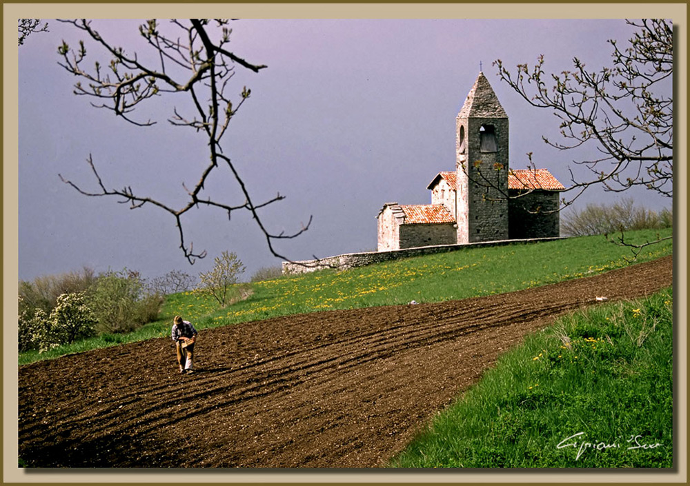 Tempo di semina