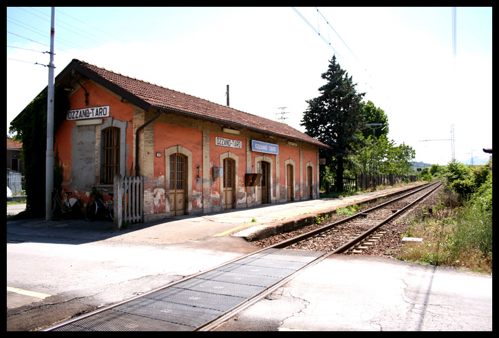 cicale