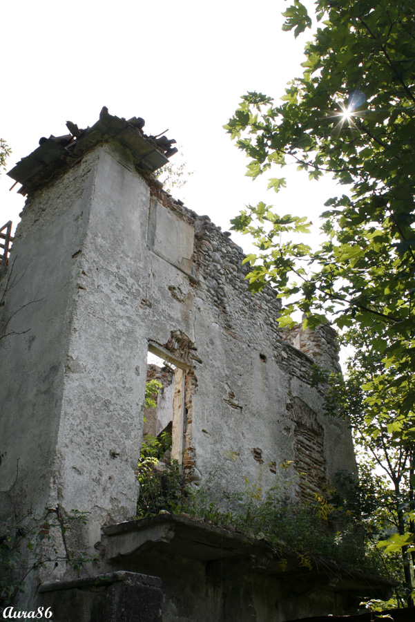 ruderi...