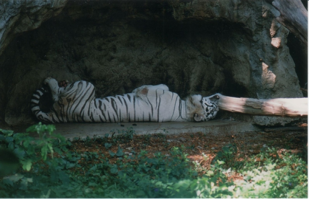 Asleep2
