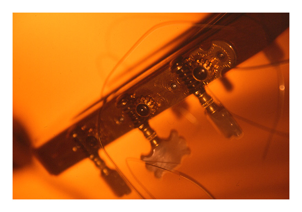 chitarra