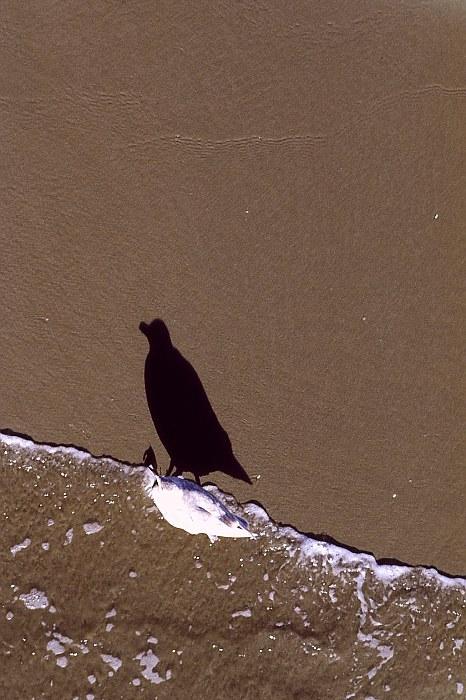 Sulla Spiaggia