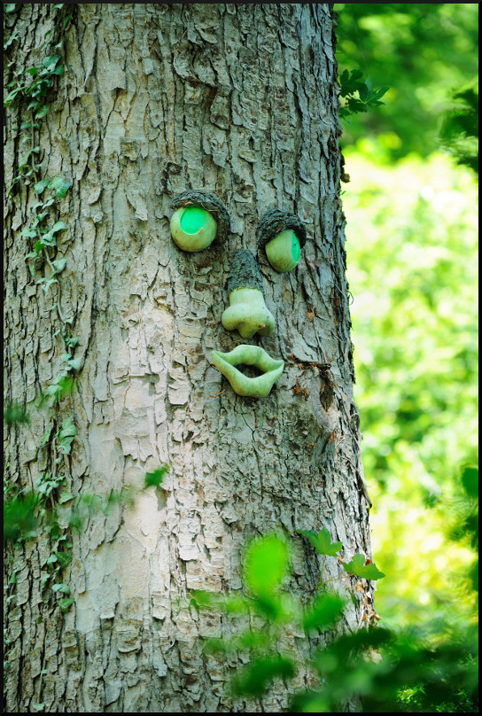 Ent