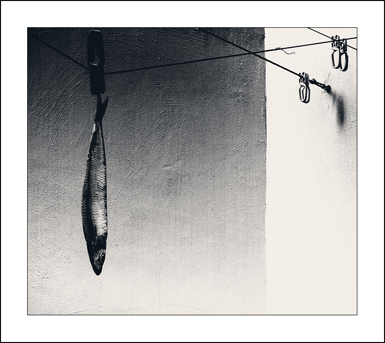 Surrealismo - Sardina II