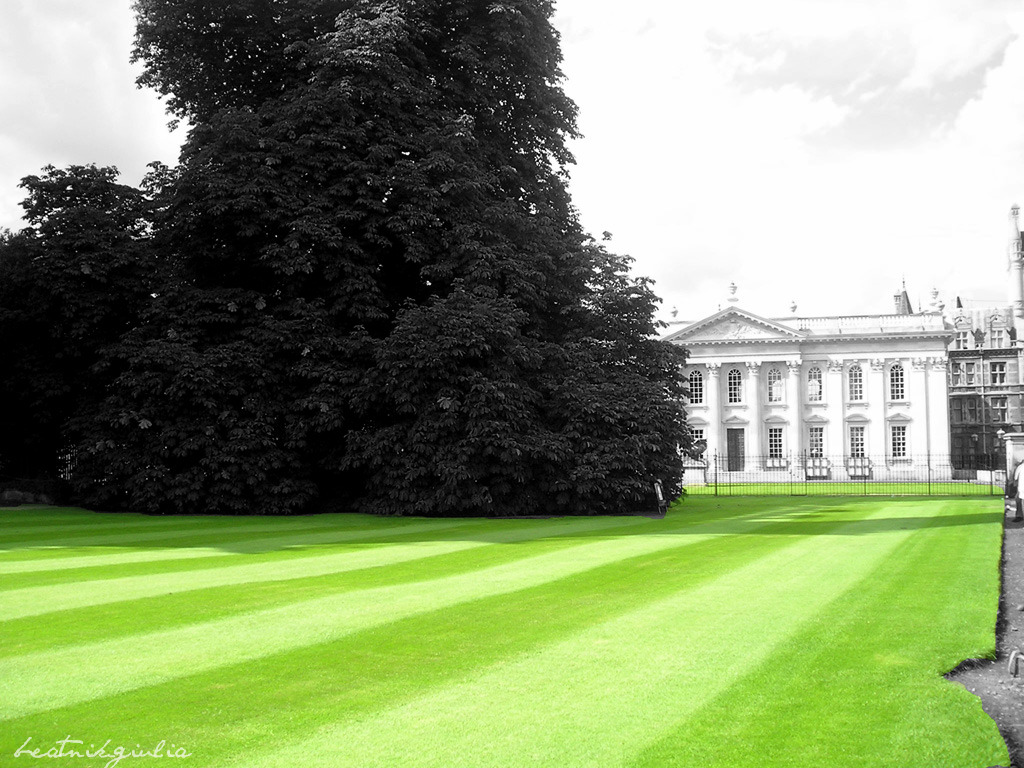 Cambridge