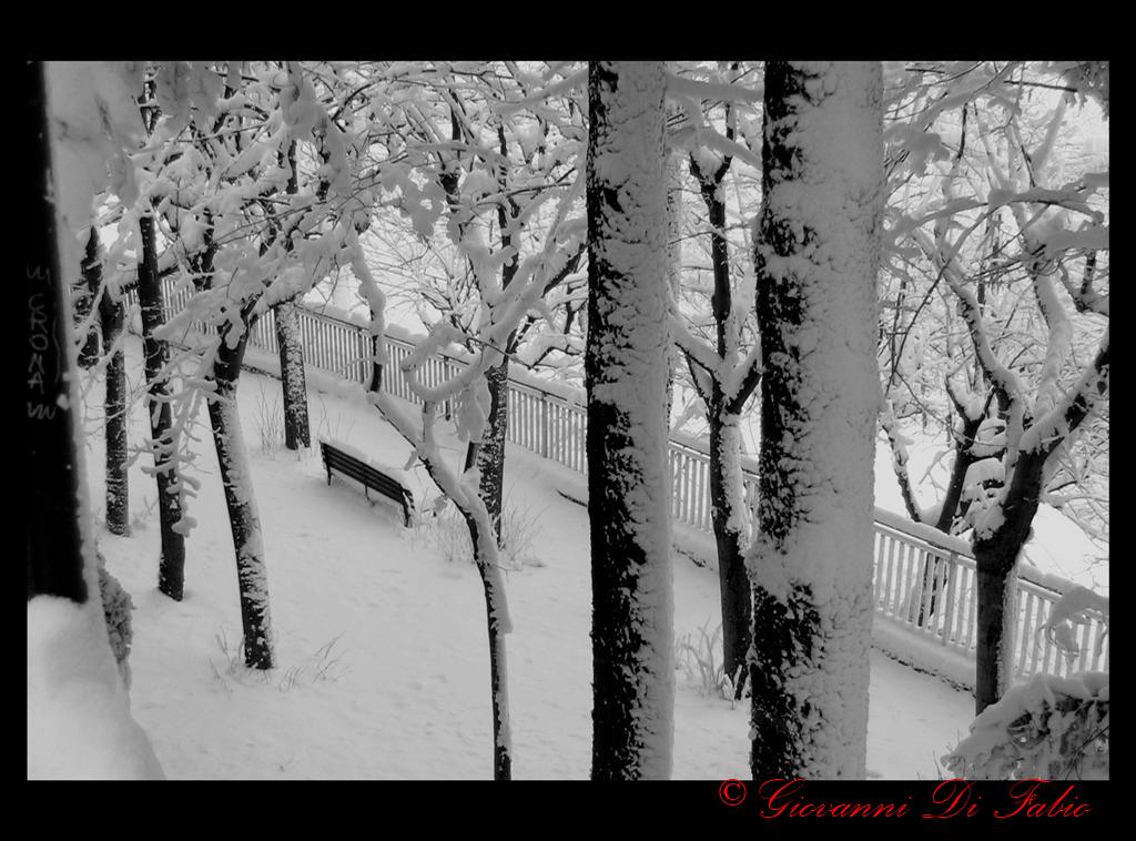Neve 2