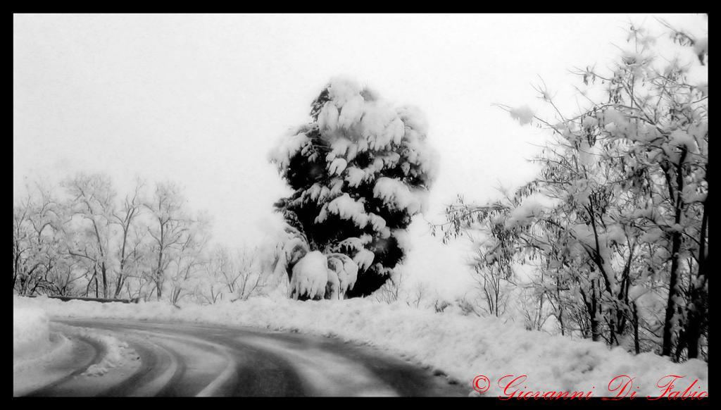 Neve 3