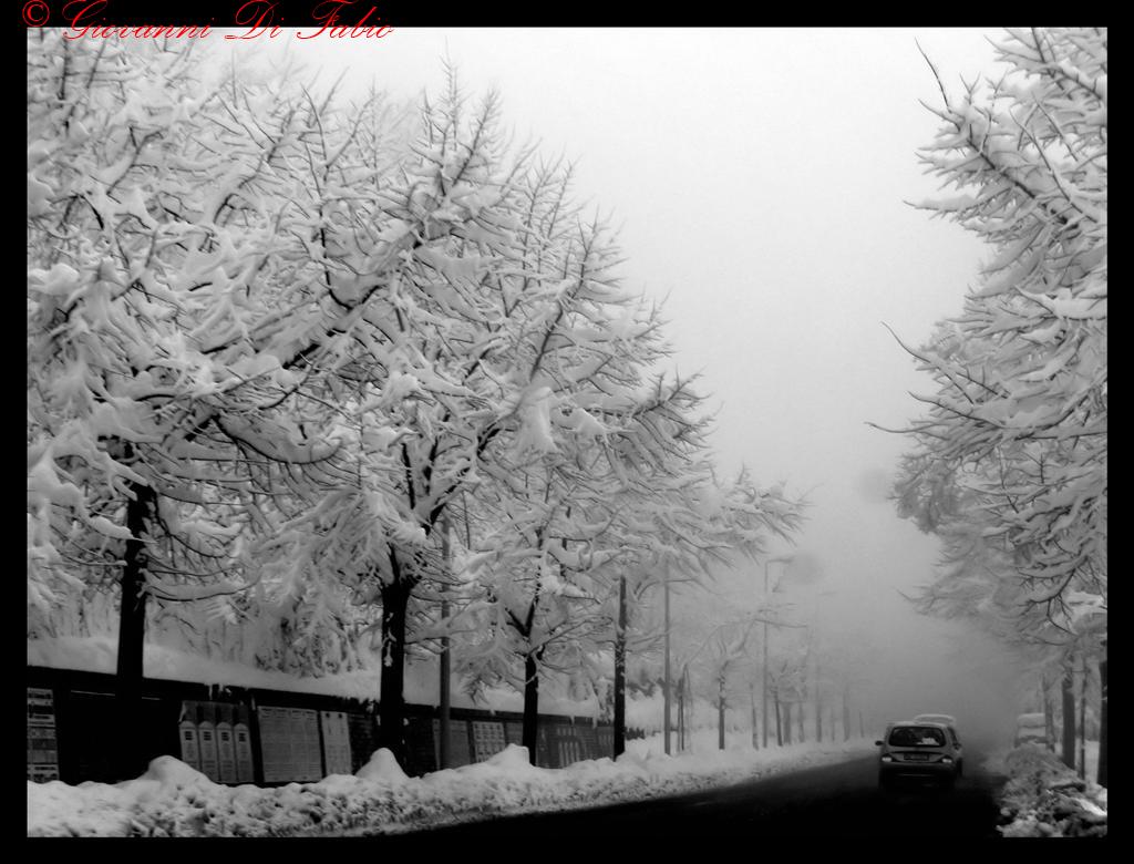 Neve 4