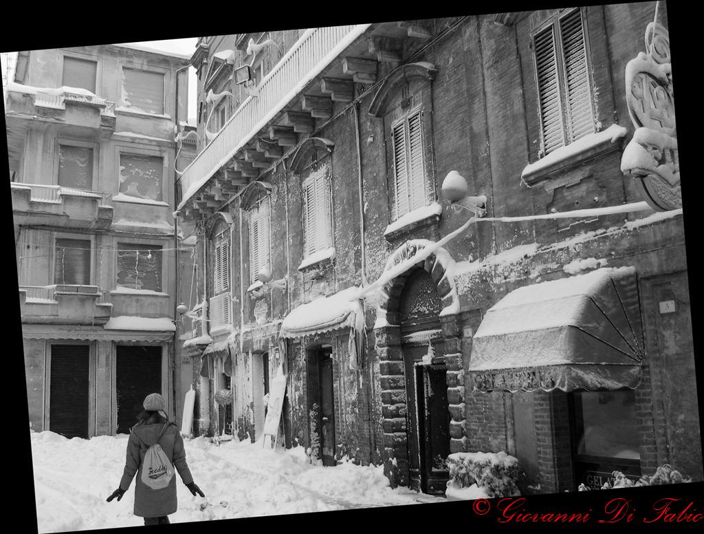 Neve 6
