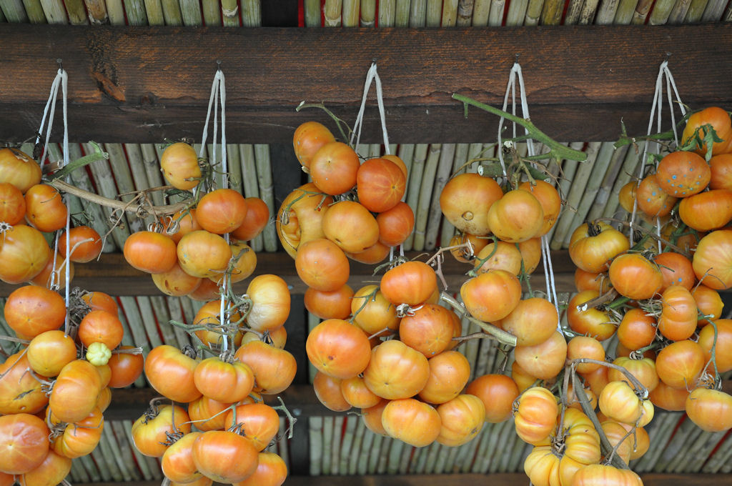 Pomodori