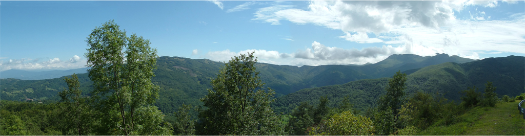 Panoramica Tomarlo