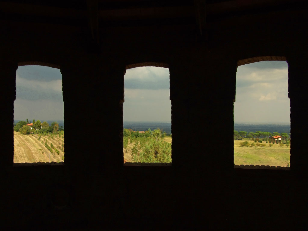 dalla torre