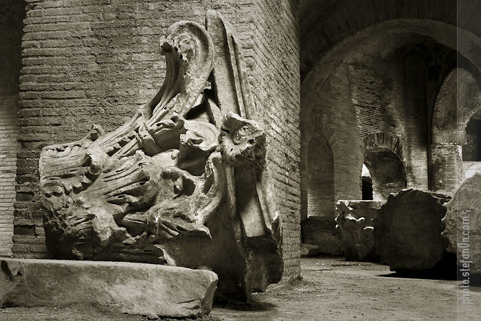 . anfiteatro flavio